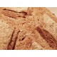 Bread Bread