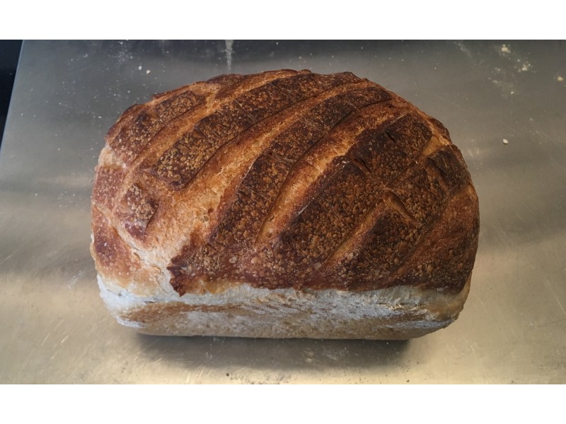 White Sourdough Tin - Large